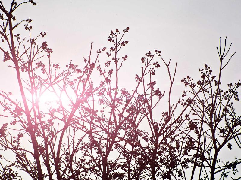 sudoku app download screenshot 3