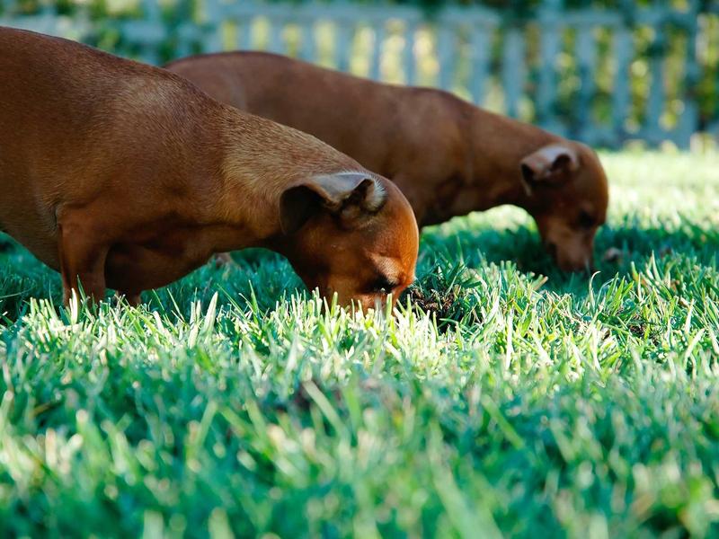 sudoku app download screenshot 1